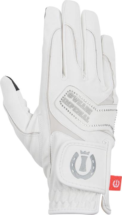 Produktbild Imperial Riding The Basics (XL)