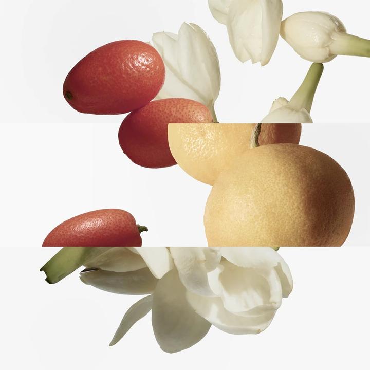 Produktbild Hermès Le Jardin de Monsieur Li Eau de Toilette - Nachfüllflasche - 200 ml Flakon-Aufladung von (Eau de Toilette, 200 ml)