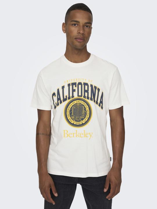 Produktbild Only & Sons Print T-Shirt (S)