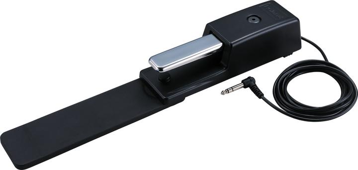 Image du produit Roland DP-10 (Clavier)