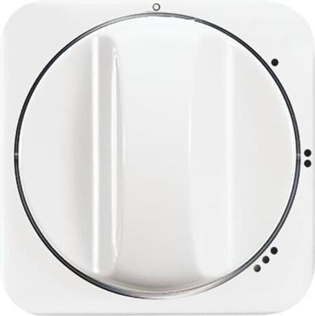 Produktbild Busch-Jaeger Zentralscheibe