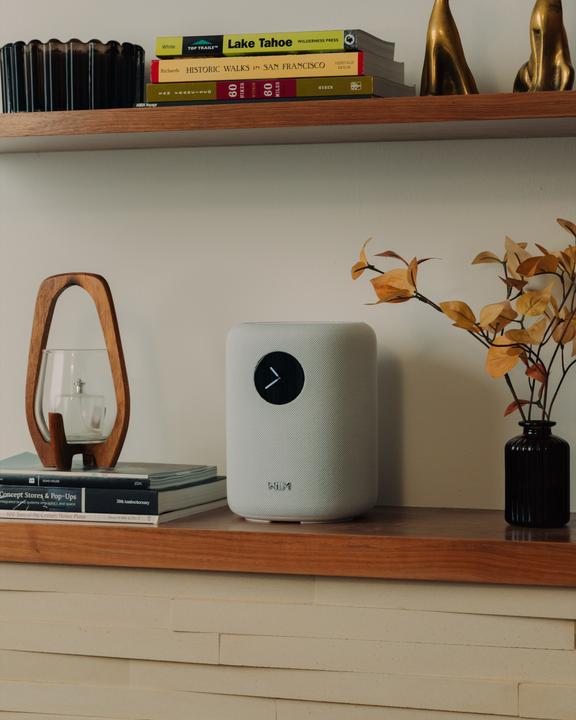 Image du produit WiiM Son Lpwisndw (Amazon Alexa, Apple Siri, Assistant Google)