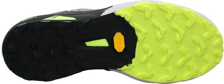 Produktbild Dynafit Alpine DNA 2 Laufschuhe Unisex (46)