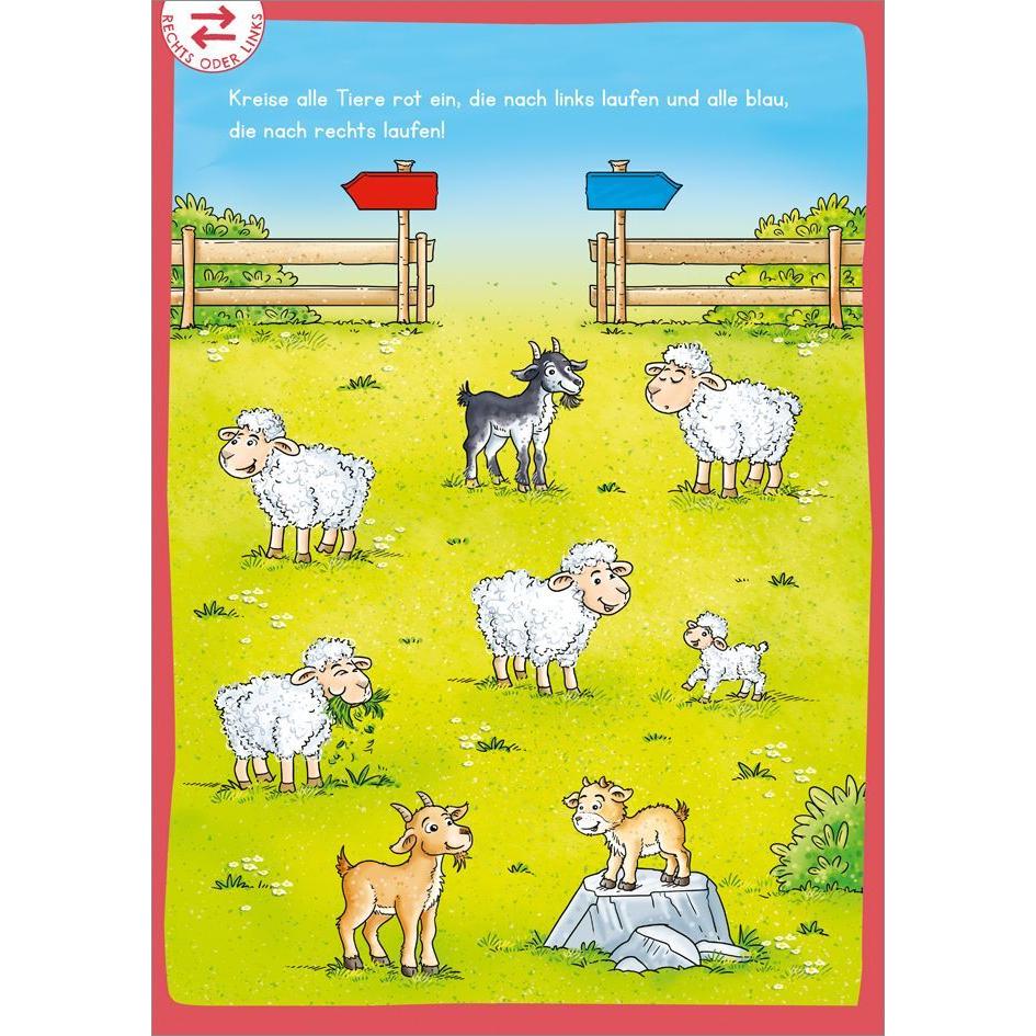 Thumbnail - Achtung, Achtung Rätselfreu(n)de! Kindergarten. Tiere, Kinderbücher von Stefan Lohr, Nadja Schwendemann
