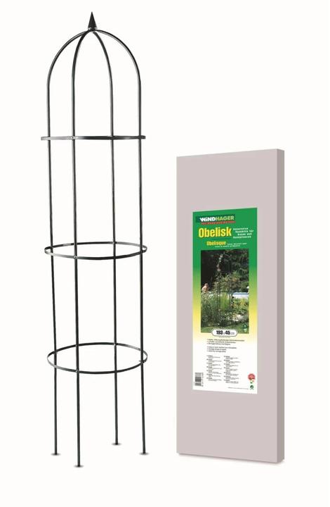 Image du produit Windhager Arc de roses Obelisk 193x45cm (194 cm, 45 cm)