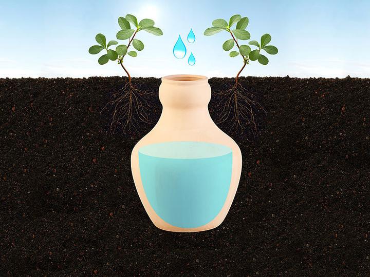 Actual product image Royal Gardineer Set of 3 terracotta watering balls for garden beds, 3 liters (Irrigation balls)