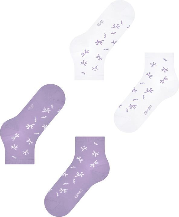 Immagine prodotto Esprit Twig SSO 2P (Confezione da 2, 35 - 38)