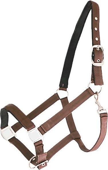 Image du produit Canter Licol pour cheval nylon doublé