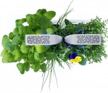 Productafbeelding Véritable VERITABLE SMART Indoor Garten schwarz inkl 4 Packs (35 x 18.50 x 45 cm)