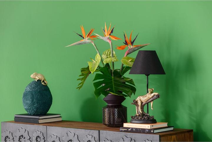 Actual product image Kare Design Deco Box Chameleon 34cm