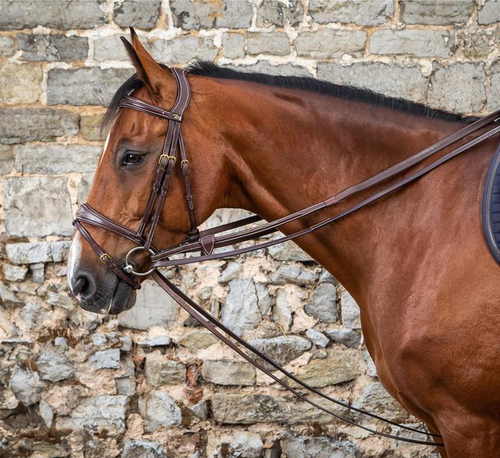 Immagine prodotto Dy'on 1/2 redini di cuoio per cavalli