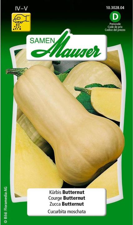 Actual product image Samen Mauser Butternut squash (Vegetable seeds)