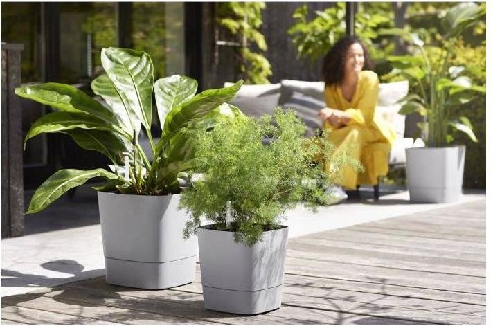 Actual product image Elho Blumenschale (30 cm)