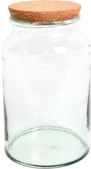 Esschert Design Bouteille semi-ouverte pour terrarium M