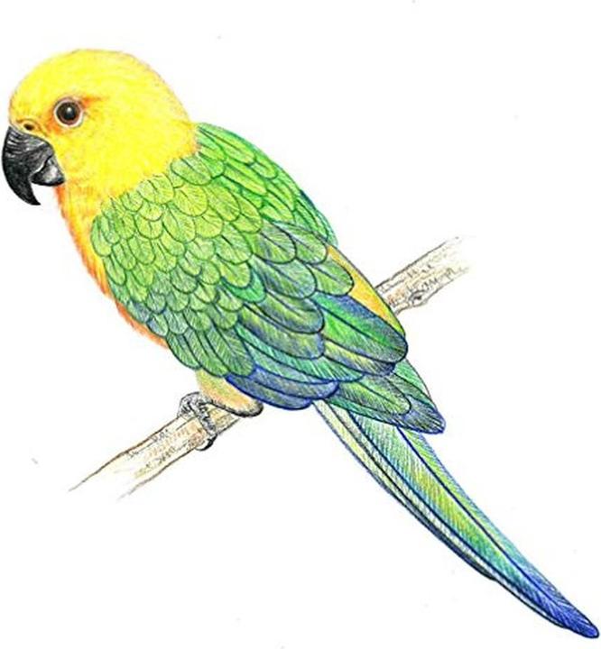 Actual product image Tombow Irojites (30 x)