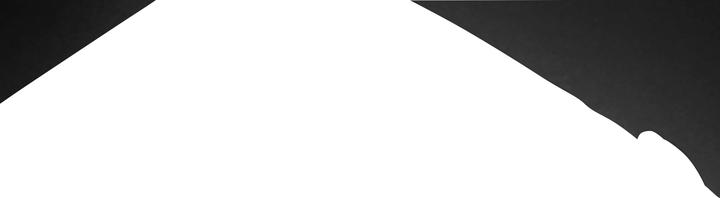 Actual product image HP Professional Notebook Backpack