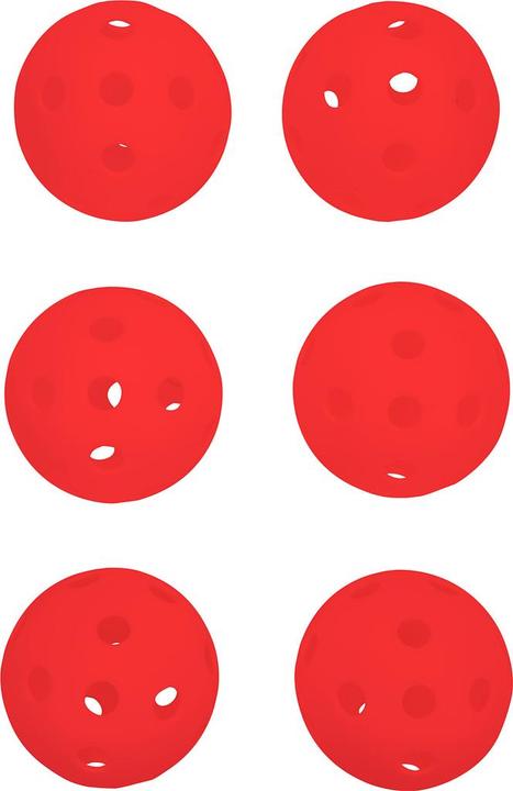 Actual product image Pure Pickleball set of 6