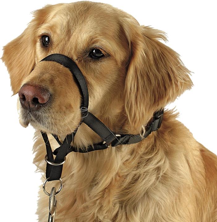 Kerbl Trainings- und Erziehungsgeschirr (Agility)