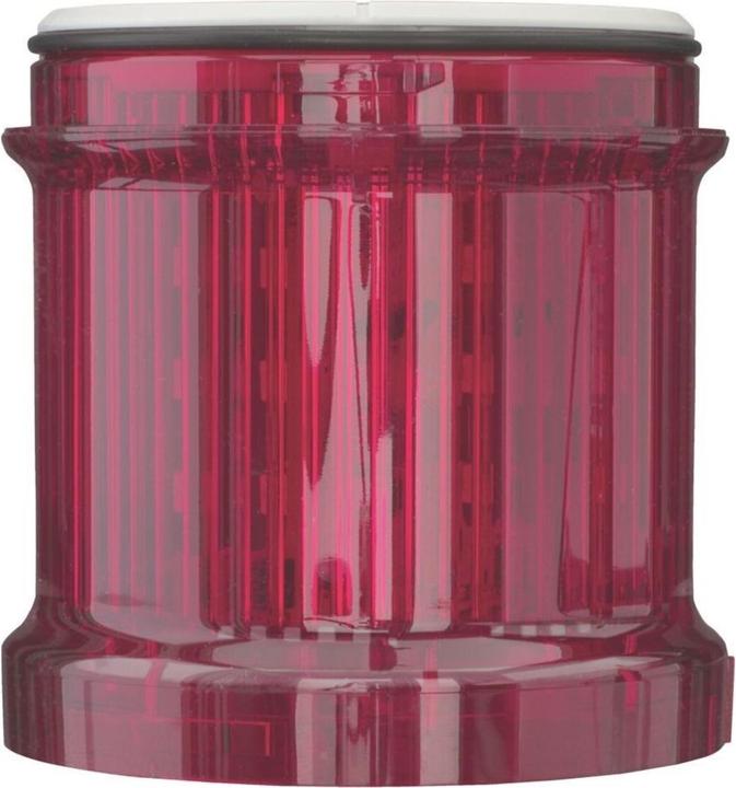 Rot