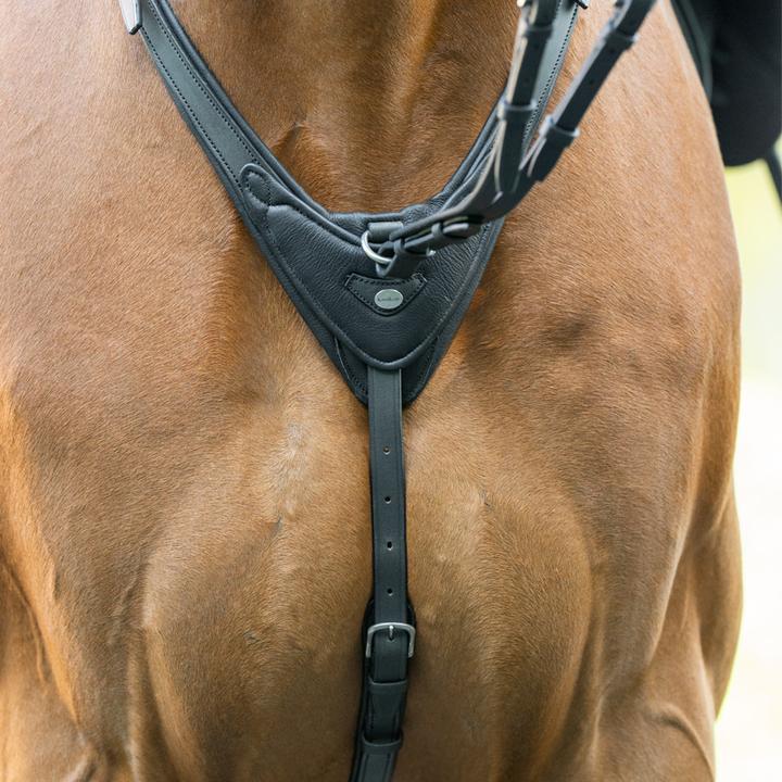 Image du produit Kavalkade Azriel