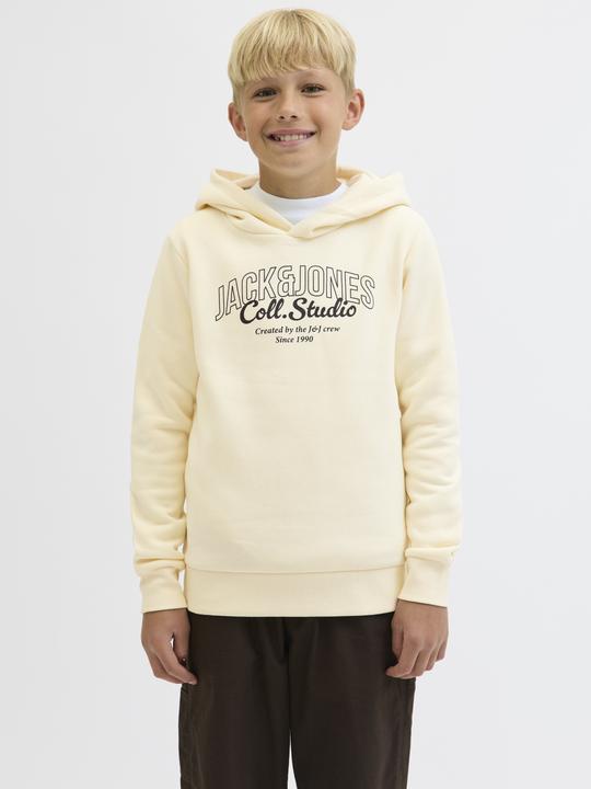 Actual product image Jack & Jones Kapuzenpullover Junior Kapuzenpullover (176)