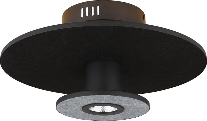 Image du produit Globo Carter (2550 lm)