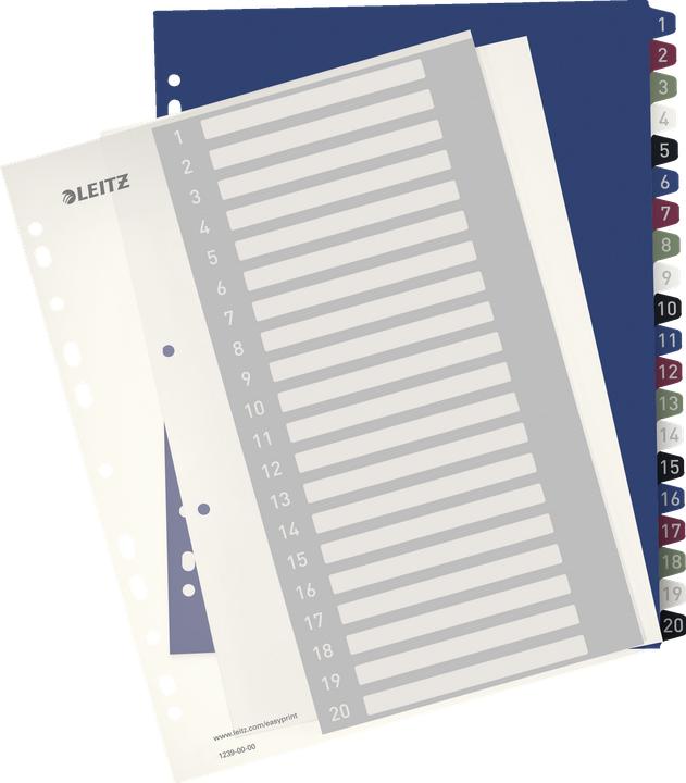 Produktbild Leitz STYLE - PC-beschriftbares Register