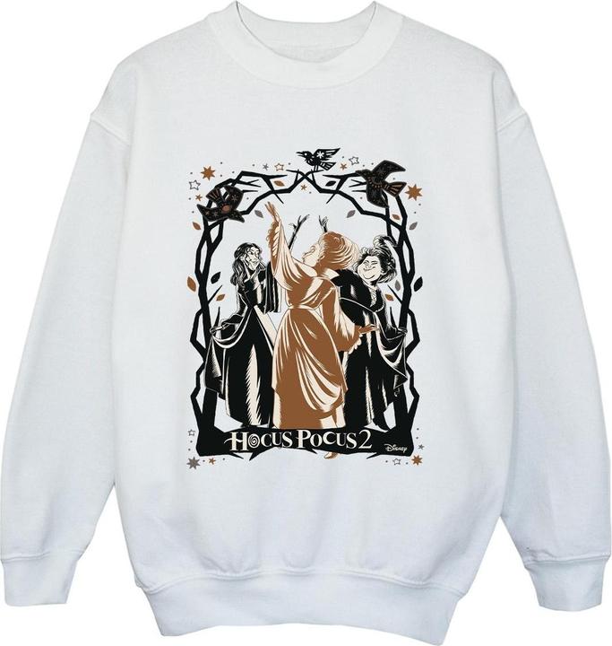 Produktbild Disney Hocus Pocus Birds Sweatshirt Jungen (152, 158)