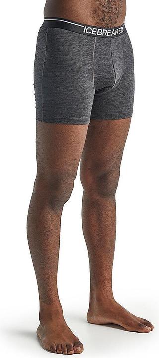 Actual product image Icebreaker Anatomica (L)