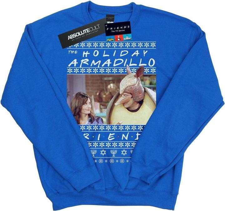 Image du produit Friends - Sweat FAIR ISLE HOLIDAY ARMADILLO - Garçon (128)