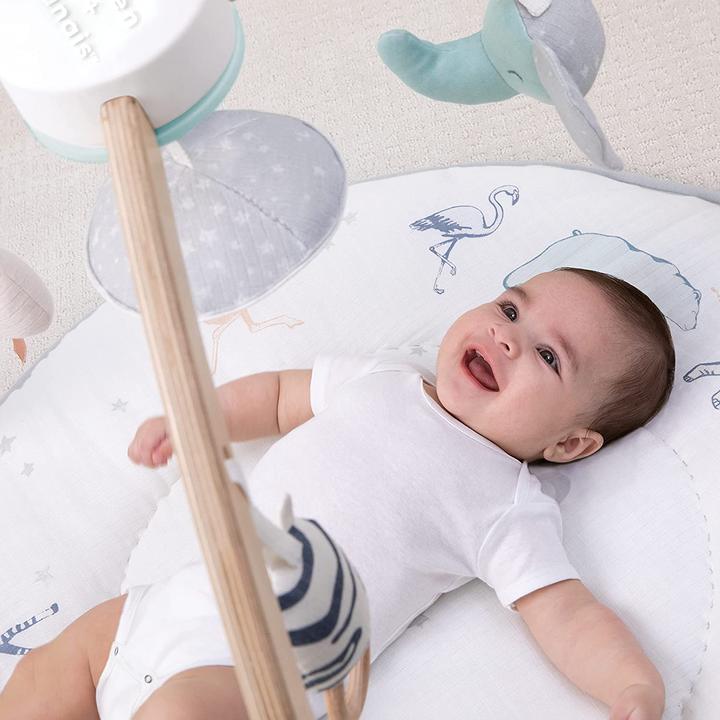 Actual product image aden + anais Adventure blanket with play bow