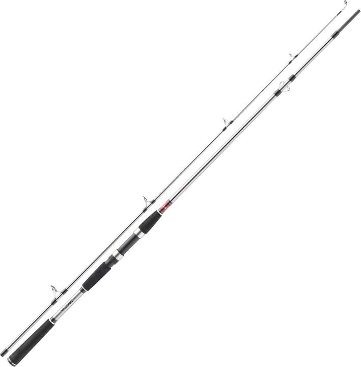 Actual product image Daiwa Seahunter X Sea Trout 3.10m, 10-40g