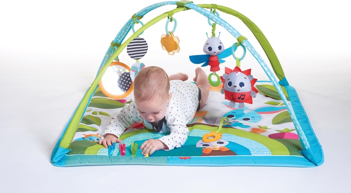 Actual product image Tiny Love Gymini Sunny Day Meadow Days