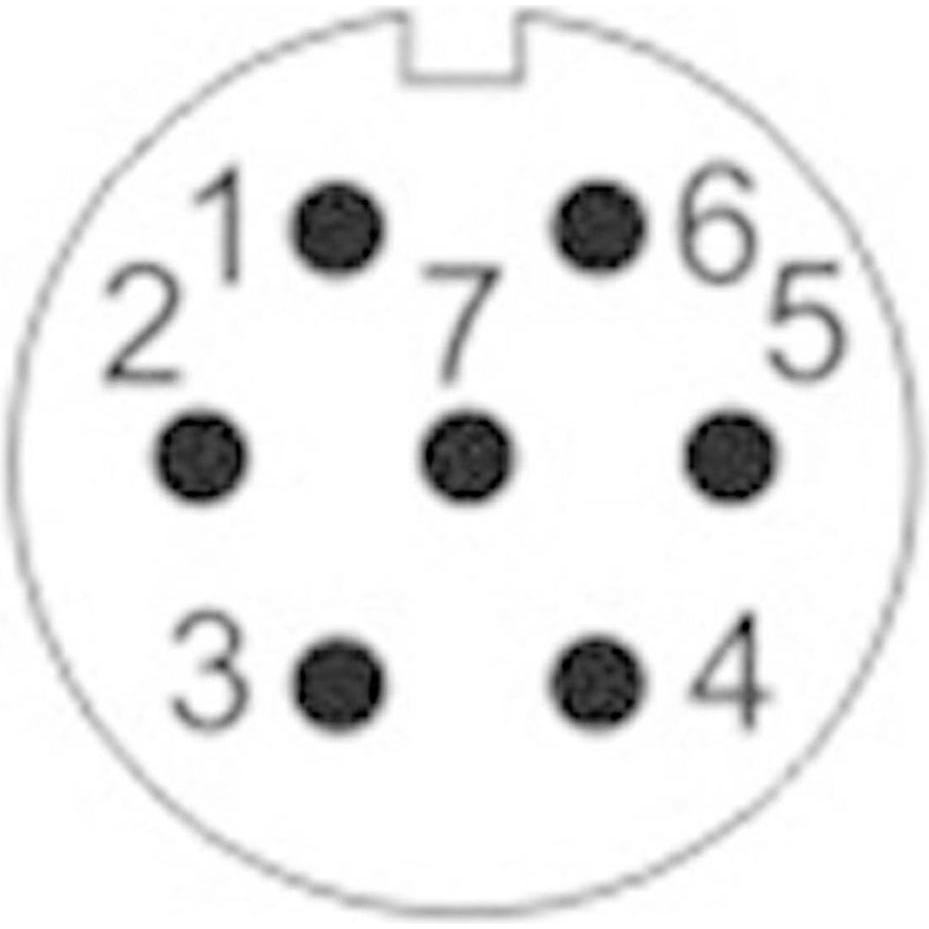 Thumbnail - Weipu SF1210/S7 II Rundstecker Kupplung, gerade Gesamtpolzahl: 7 Serie (Rundstec, Elektronikkabel + Stecker