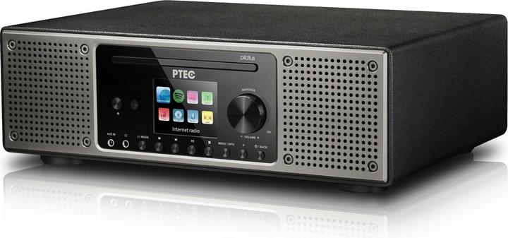 P Tec Pilatus II (DAB+, Internetradio, Bluetooth, WLAN)