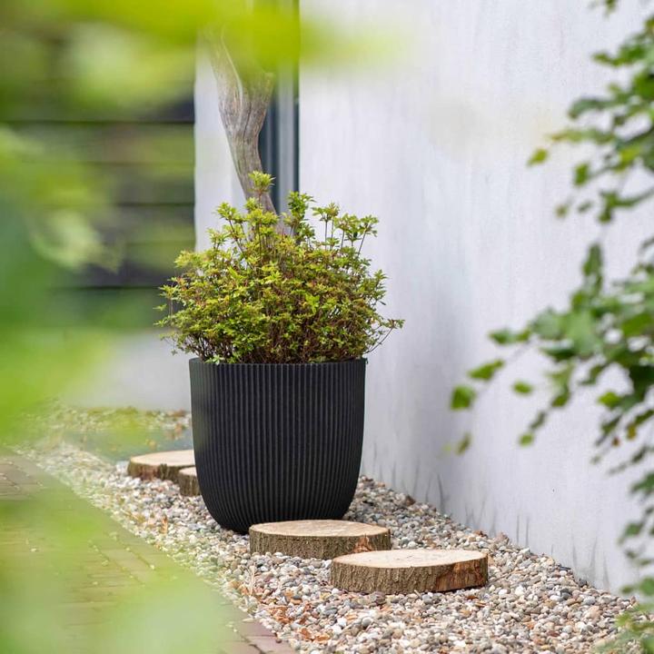 Produktbild Capi Morgan (35 x 34 cm)