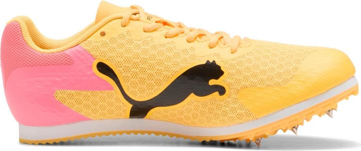Actual product image Puma evoSPEED Star 9 Junior (39)