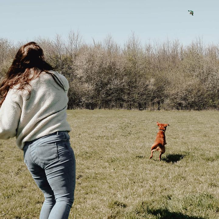 Actual product image Hunter Toy Flingerz Splash Turtle - (401673969524) (Retrieval, Dog chew toy)