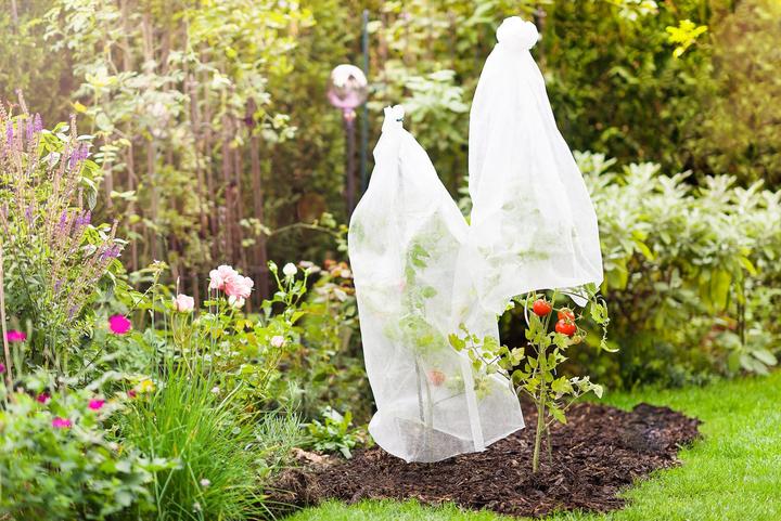 Productafbeelding Windhager Tomatenvliesslang10x0,65m