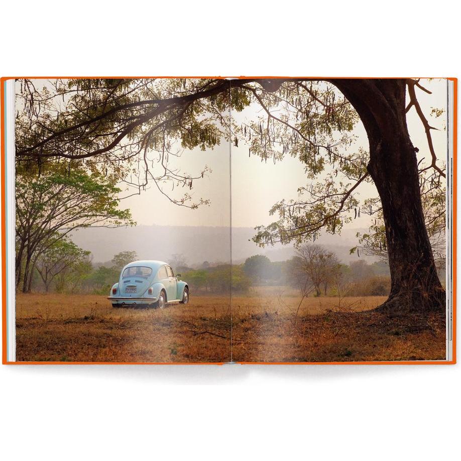 Thumbnail - IconiCars VW Beetle, Ratgeber von Elmar Brümmer