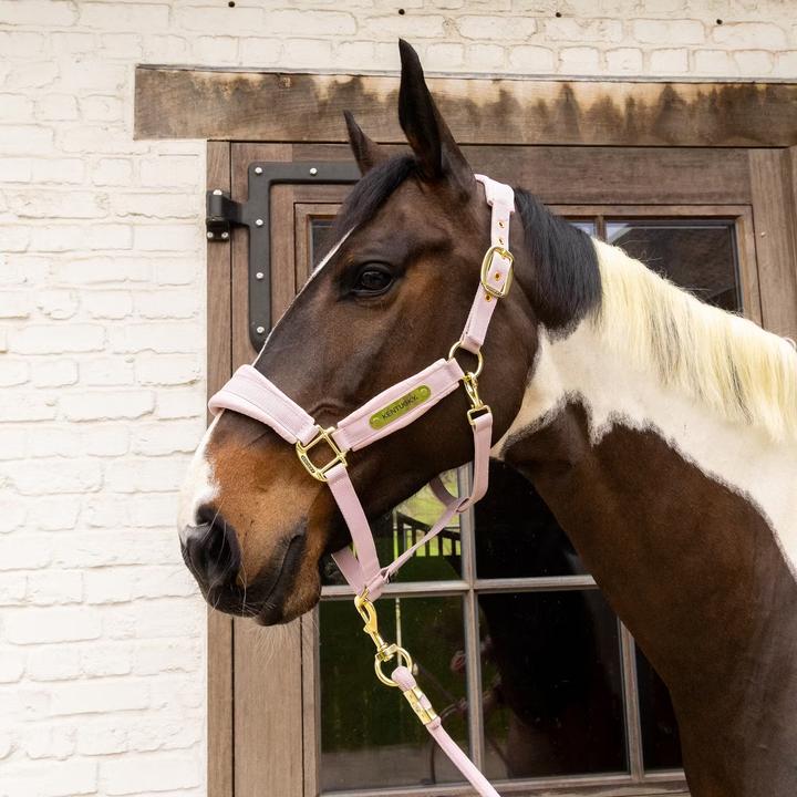 Immagine prodotto Kentucky Horsewear Cavezza in nylon
