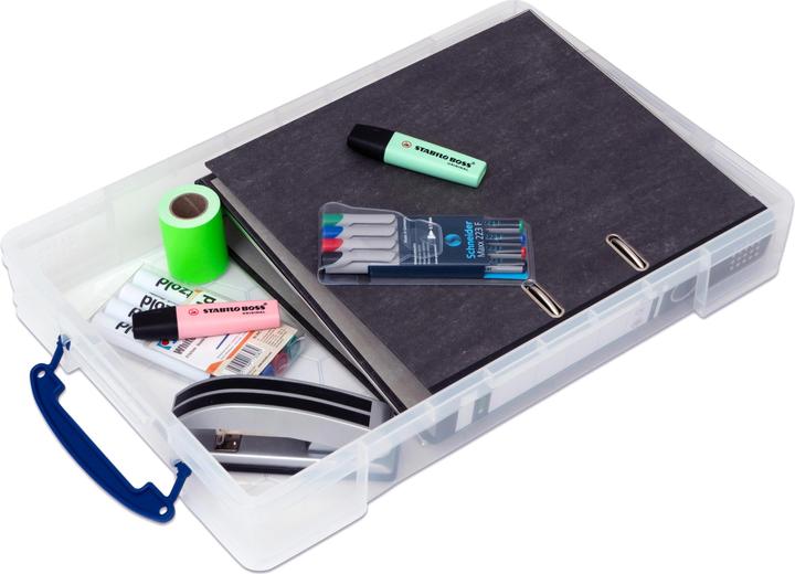 Actual product image Box Storage 10 l (52 x 34 x 8.5 cm, 10 l)
