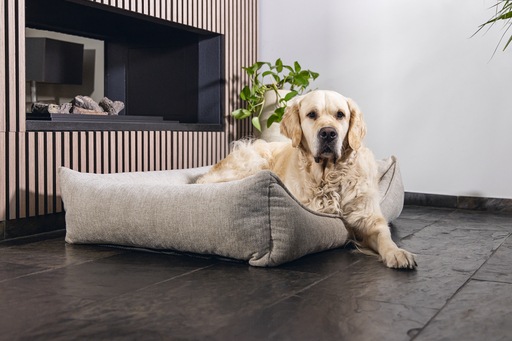 Immagine prodotto Beeztees Zia (Cane)