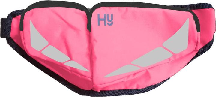 Produktbild HyVIZ Bauchtasche