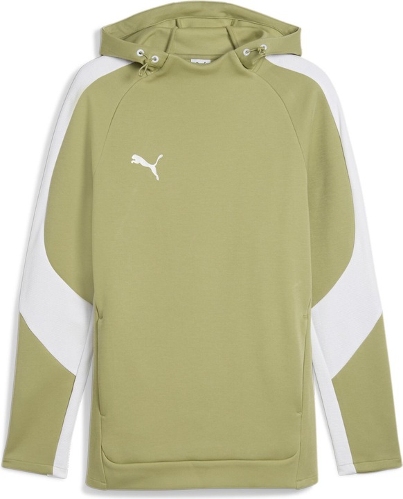 Puma teamEVOSTRIPE Hoody
