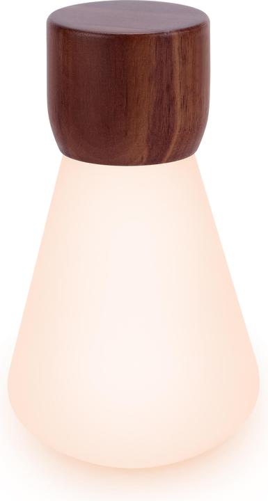 Produktbild Gingko Pentagon Desk Bulb (104 lm)