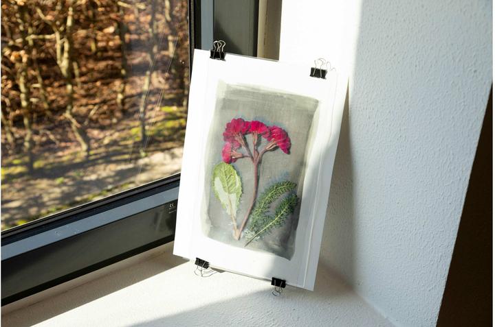 Actual product image Creativ Company Cyanotype