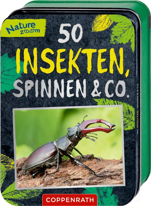 Die Spiegelburg 50 Insekten, Spinnen & Co. (Deutsch, Manfred Rohrbeck, Holger Haag, 2021)