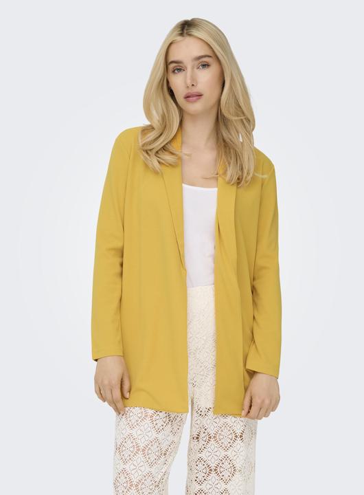 Immagine prodotto JdY JDYGEGGO Blazer Blazer (XS)