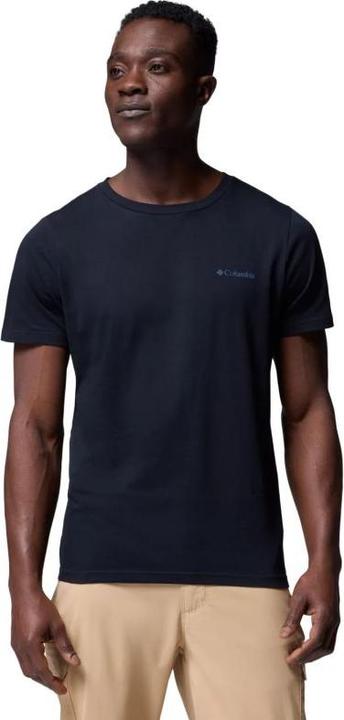 Black, Heavenly Horizons